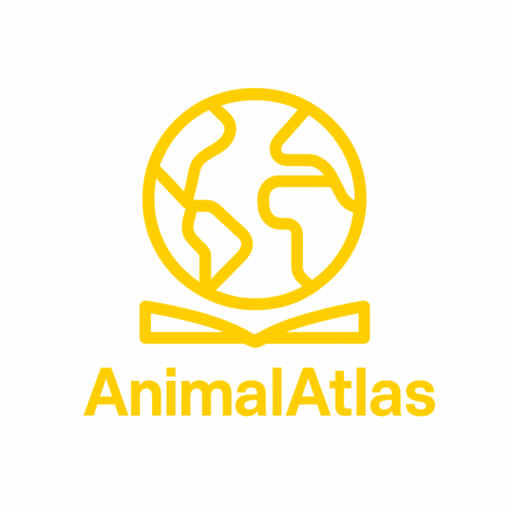 AnimalAtlas