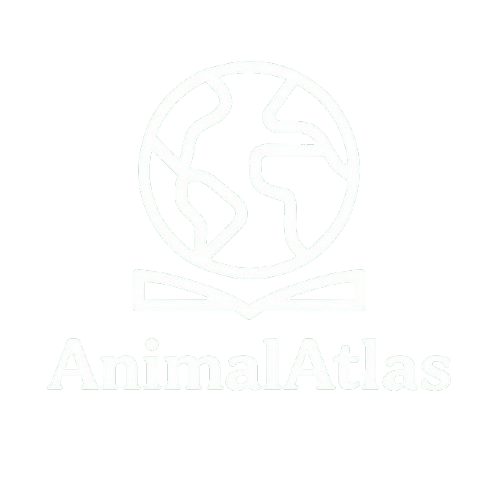 AnimalAtlas
